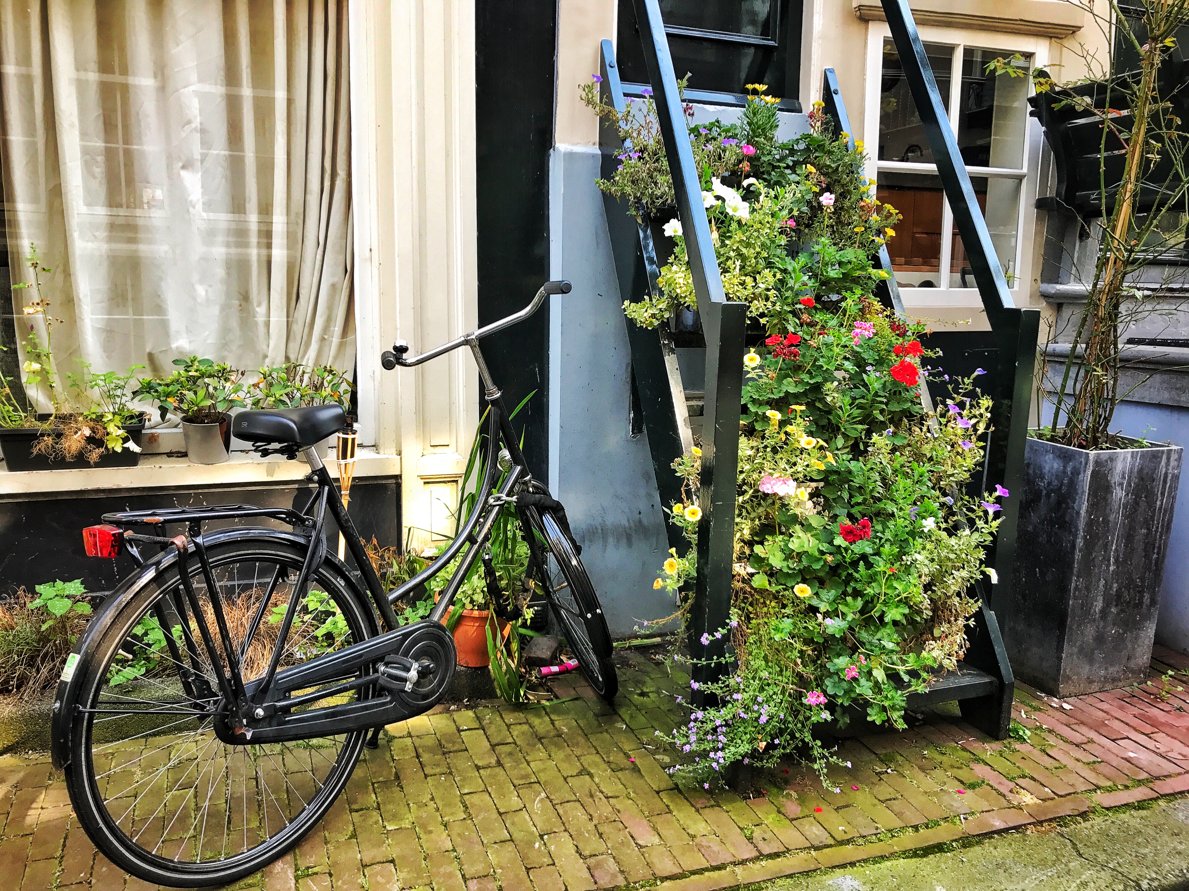 Amsterdam in 48 Hours: Must-See Attractions and Dining